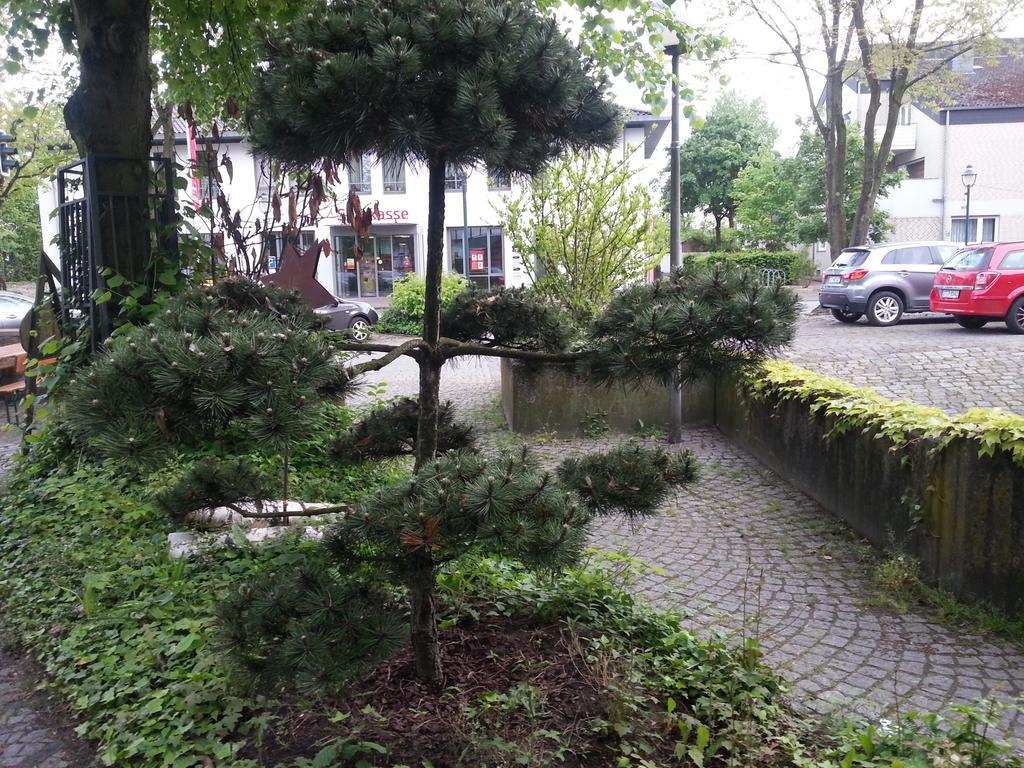 Gasthof Altes Farmhaus Und Apartment Lienen Exteriér fotografie